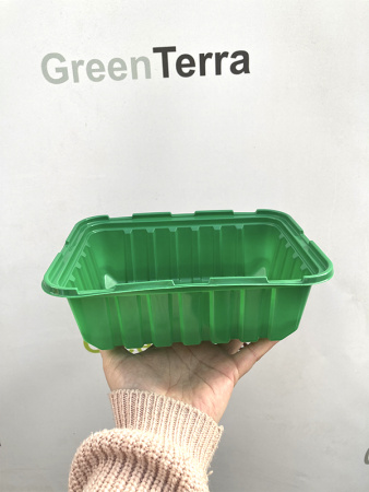 Минипарник с крышкой и кассетой на 6 ячеек