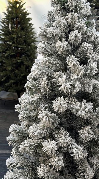 Елка "Оливия" заснеженная