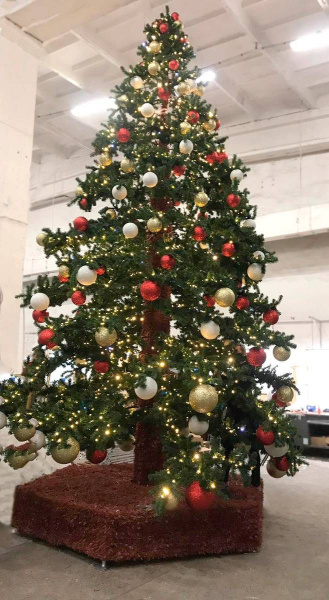 Большая уличная  ель "Альпийское дерево"