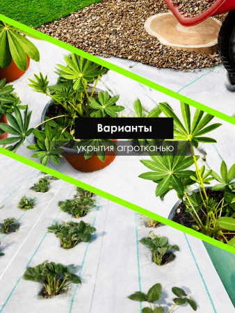 Агроткань белая, плотность 100гр/м2, 1.6х100м