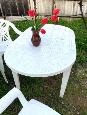 Стол овальный пластмассовый [130-0021]