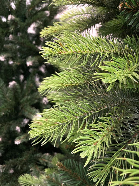 Елка "Кашемир" 