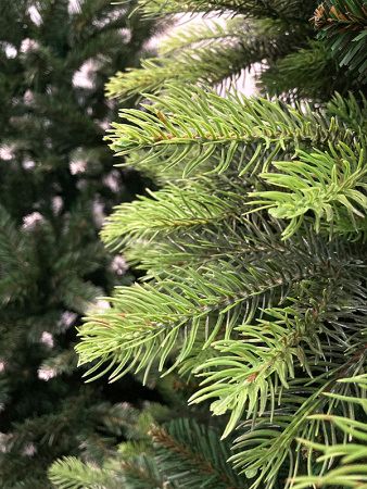 Елка "Кашемир" 