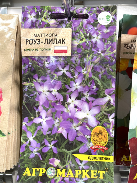 маттиола двурогая Роуз-лилак