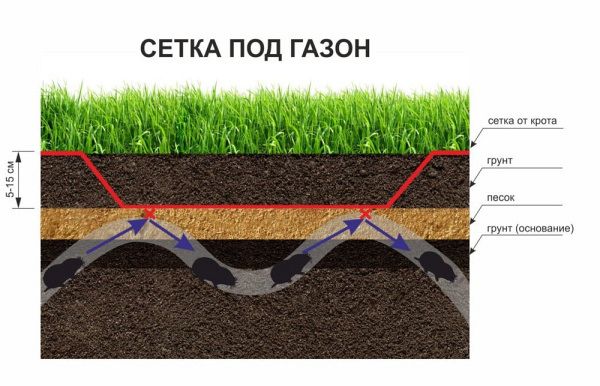 Сетка от кротов UNINET Вradas 1.8*200 м