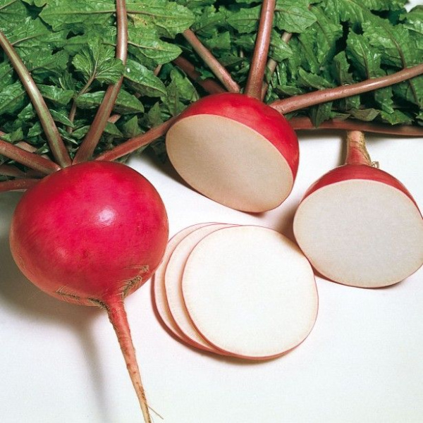 редька дайкон Мисато Ред