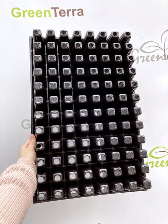 Кассета для рассады 96 ячеек (Ель), 90мл 