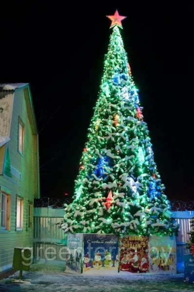 Уличная ствольная ель "Альпийская" Уличная ствольная ель "Альпийская"