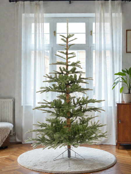 Елка "Нобилис"