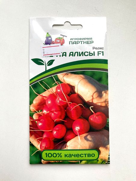 Редис Мечта Алисы  F1