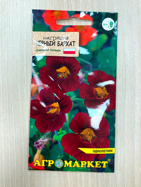 настурция Черный бархат