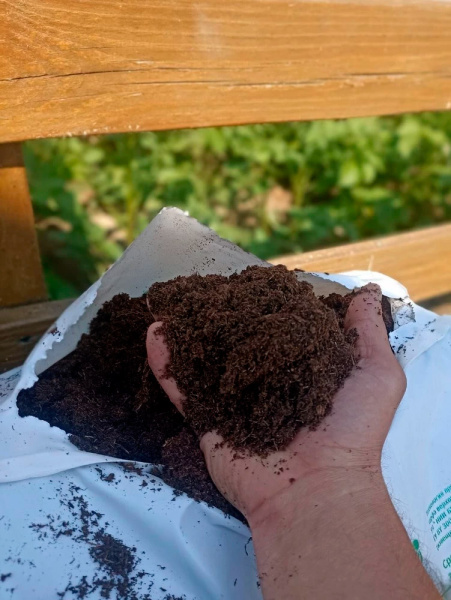 Торф верховой кипированный нейтрализованный, 100л