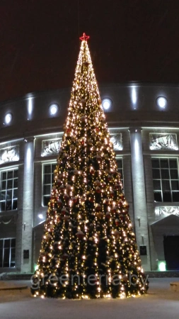 Верхушка-звезда из дюралайта, 100х100см, постоянного свечения с нитью Верхушка-звезда из дюралайта, 100х100см, постоянного свечения с нитью