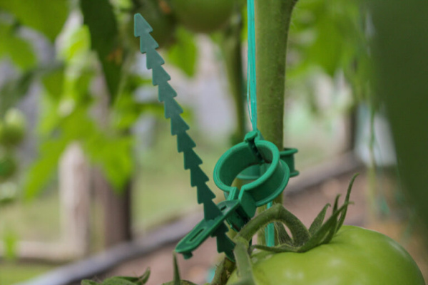 Хомут садовый для подвязки и фиксации растений 15см, уп. 50 шт.