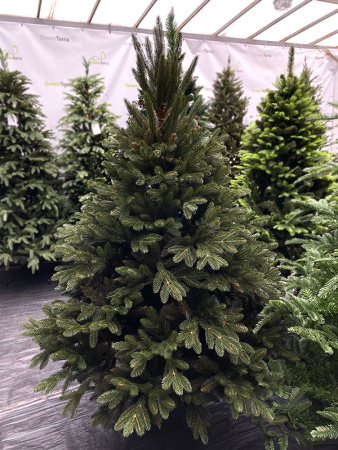 Ель искусственная "Босния"