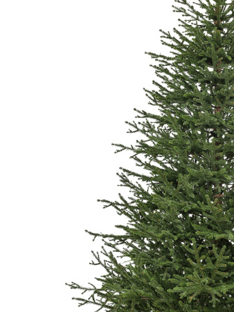 Елка "Вилтони" 100% РЕ