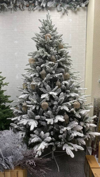 Елка "Альберта" заснеженная