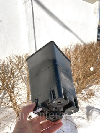 Высокий горшок для роз 2л, 12*12*20см.