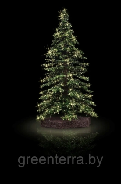 Большая уличная ель "Альпийское дерево" Большая уличная  ель "Альпийское дерево"