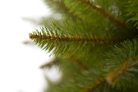 Елка "Бовари"