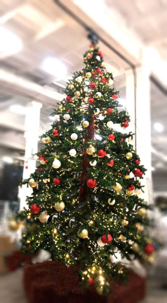 Большая уличная  ель "Альпийское дерево"