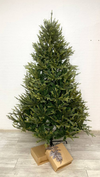 Елка "Этуаль"