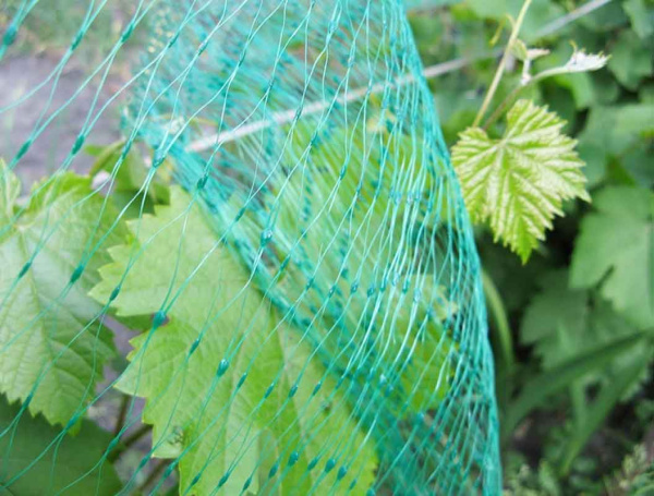 Сетка защитная от птиц GB NET 5*100 м, мелкая ячейка