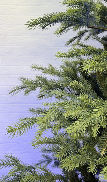 Елка "Орлеан"