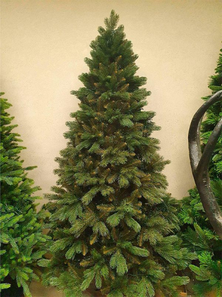 Сосна "Тундра"