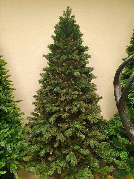 Сосна "Тундра"