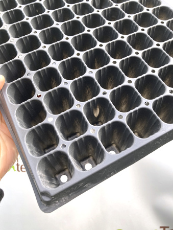 Кассета для рассады, 160 ячеек (20мл)