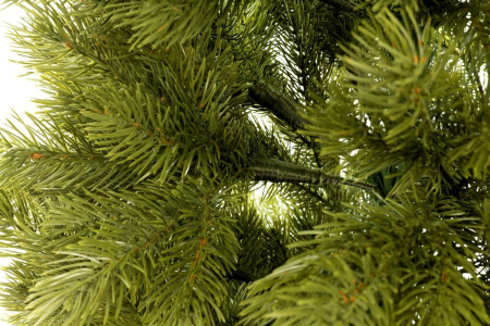 Сосна "Палермо" PE-100%