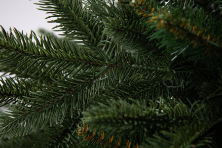 Елка "Калифорния"