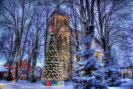 Большая уличная каркасная сосна "Евро-2" Большая уличная каркасная сосна "Евро-2"