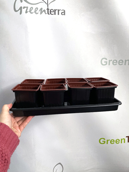 Набор для рассады: поддон + 8 горшков 8*8*8 [00256]