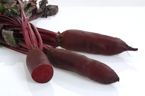 свёкла столовая Родена F1