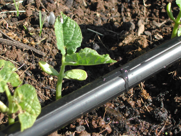 Лента капельного полива [DSTHD 16081120-0500]