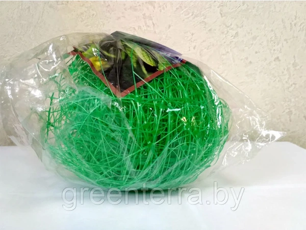 Сетка шпалерная для поддержки вьющихся растений 2*10