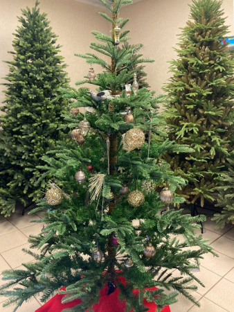 Елка "Нобилис"