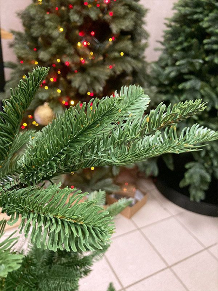 Елка "Нобилис"