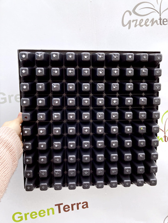 Кассета для рассады 100 ячеек (100-Ф), 40мл 