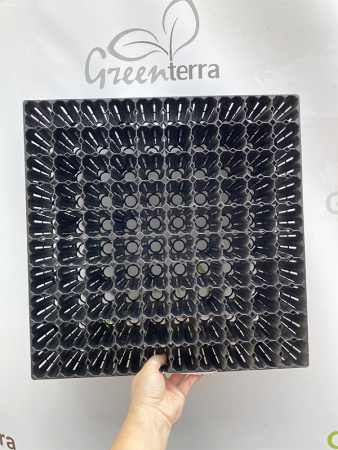 Кассета для лесовосстановления, 100 ячеек (81мл) K-100F