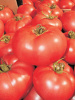 томат Пинк Парадайз F1