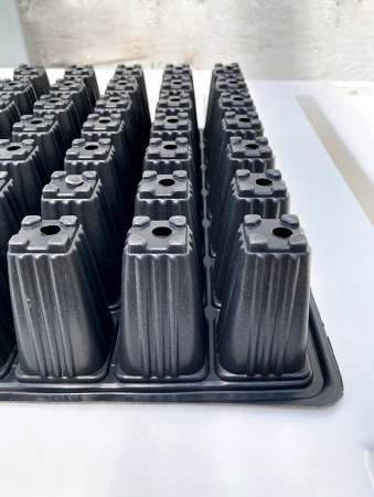 Кассета для рассады, 77 ячеек (67мл)