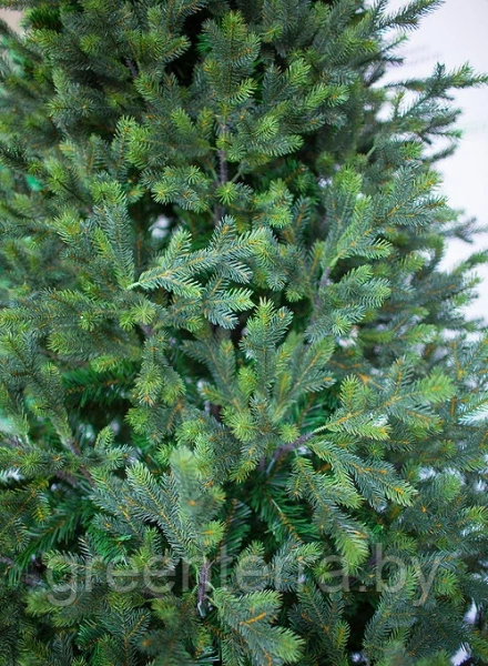 Ель интерьерная "Сказочная" премиум