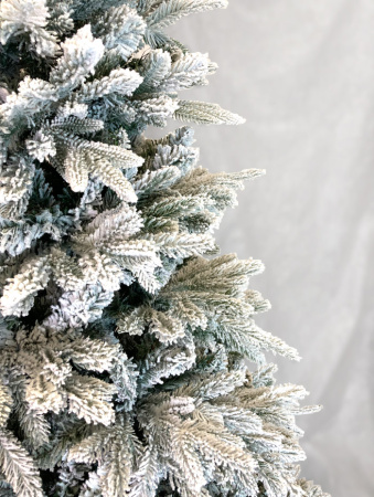 Елка "Онтарио" заснеженная