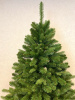 Сосна "Рапсодия" натуральная