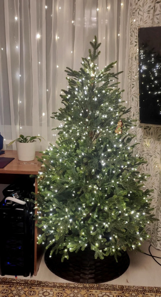 Елка "Олбери" 100% РЕ