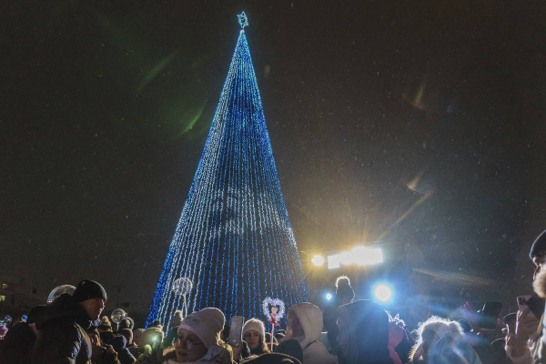 Комплект новогоднего освещения "3D"