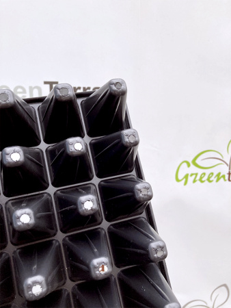 Кассета для рассады 81 ячейка (81-Ф), 55мл 